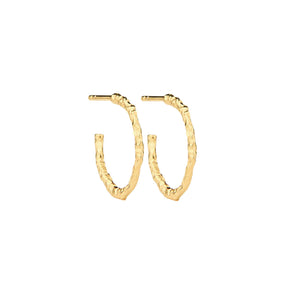 Holly Hoops