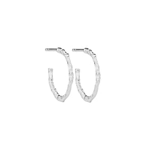 Holly Hoops